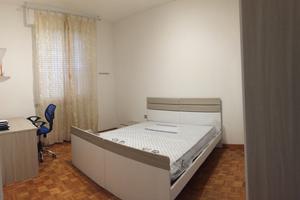 Stanza solo per studentesse/ti universitari