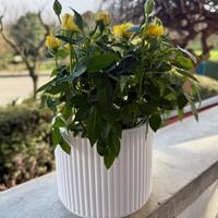 Vaso artistico moderno in PLA bianco - Stampa 3D