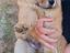 Immagine 1