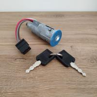 Bloccasterzo Cilindretto Accensione Renault 4 R4 L
