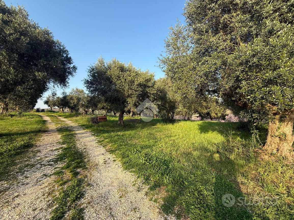 TER. AGRICOLO A GUIDONIA MONTECELIO - View 6
