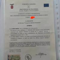 ATTESTATO di' IDONEITÀ PROFESSIONALE