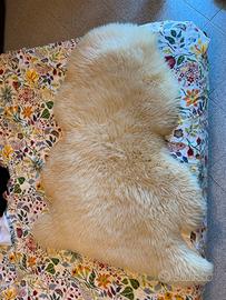 Scendiletto merinos