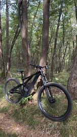 EMTB - Specialized Turbo Levo Alloy