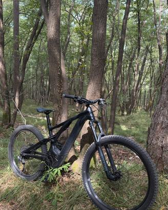 EMTB - Specialized Turbo Levo Alloy