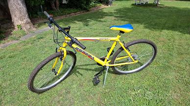 Bicicletta MTB 26 pollici