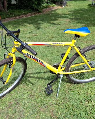 Bicicletta MTB 26 pollici