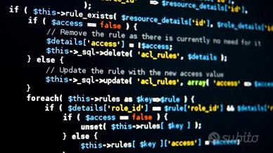 Programmatore/Consulente web