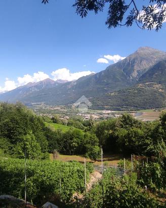 TER. AGRICOLO A QUART