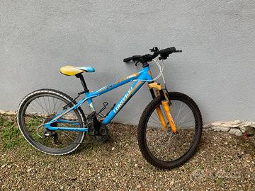 Bicicletta mtb