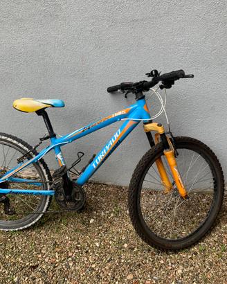 Bicicletta mtb