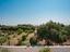 Immagine 20