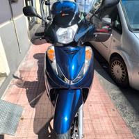 SH 300 passaggio incluso 