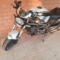 Cagiva Raptor 650 - 2006
