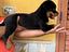 Immagine 5