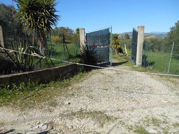 Terreno pianeggiante S. Barbara