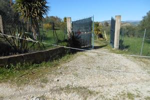 Terreno pianeggiante S. Barbara