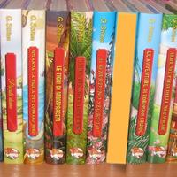 15 Libri Geronimo Stilton storie famose