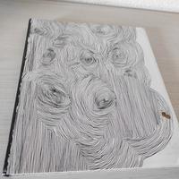 Libro/ Tributo alla cantante Bjork  (raro)