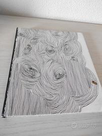 Libro/ Tributo alla cantante Bjork  (raro)