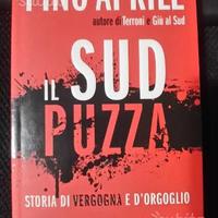 Il Sud puzza. Storia di vergogna e d'orgoglio