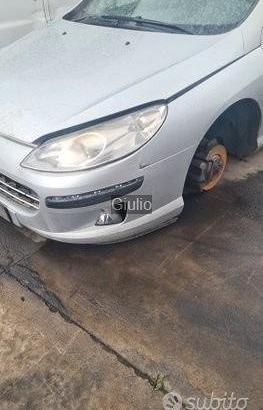 Peugeot 407 Ricambi