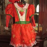 vestito carnevale bimba 