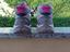 Immagine 4