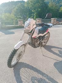 beta alp 4.0