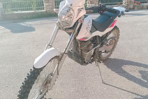 beta alp 4.0
