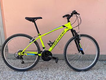 Bicicletta montana da ragazzo da 26 pollici