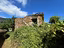 Immagine 12