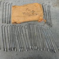 Raggi triumph truxton