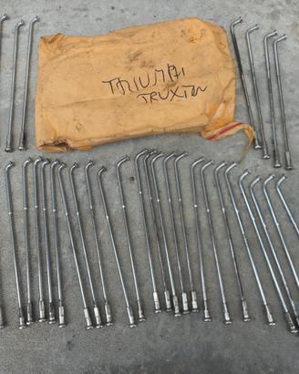 Raggi triumph truxton