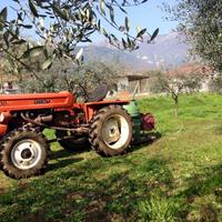 Trattore Fiat 300 DT