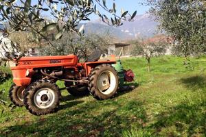 Trattore Fiat 300 DT
