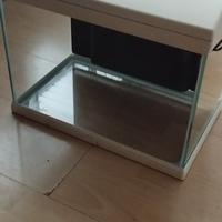 Acquario completo di accessori 