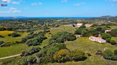 Stazzo da ristrutturare con terreno Santa Teresa G