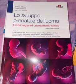 Embriologia: Lo sviluppo prenatale dell’uomo