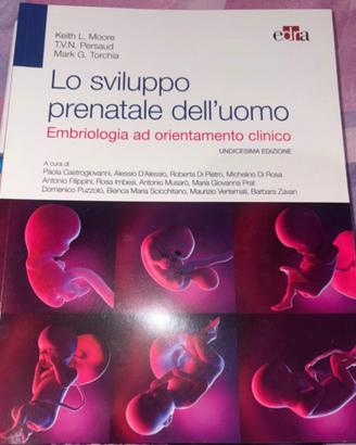 Embriologia: Lo sviluppo prenatale dell’uomo