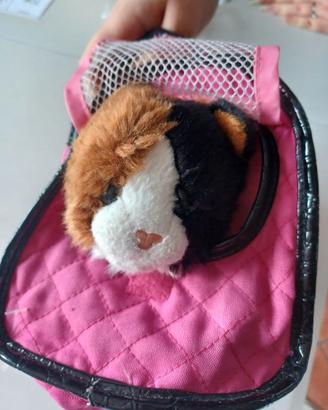 gatto con trasportino