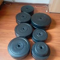 dischi/ pesi da palestra 
