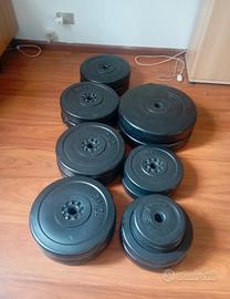 dischi/ pesi da palestra 
