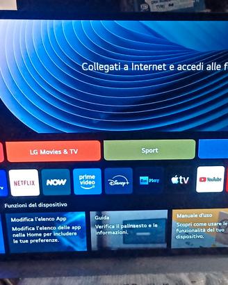 LG OLED 65 POLLICI