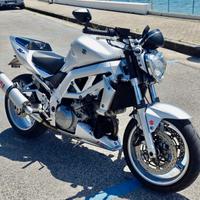 Suzuki SV 1000  "Nuovissima"
