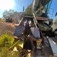 Spannocchiatore dominoni