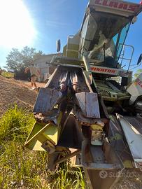 Spannocchiatore dominoni