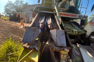 Spannocchiatore dominoni