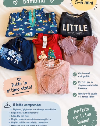 Lotto  felpe e maglioncini bambina 5/6 anni