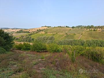 afitto terreno